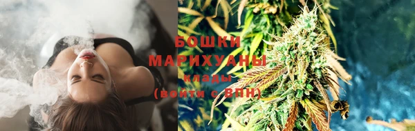 крисы Михайловск